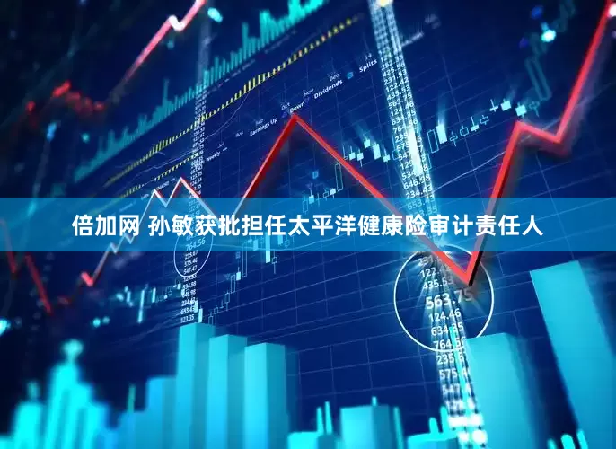 倍加网 孙敏获批担任太平洋健康险审计责任人