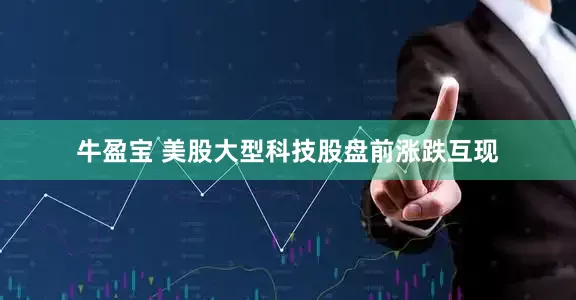 牛盈宝 美股大型科技股盘前涨跌互现